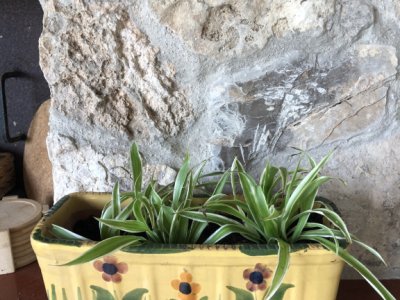 ¡Finca con 4 ha de terreno en venta por propietarios privados!