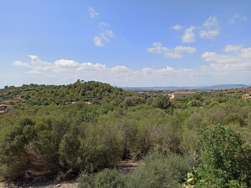 Finca Top Location for Renovation for Sale in Son Macia