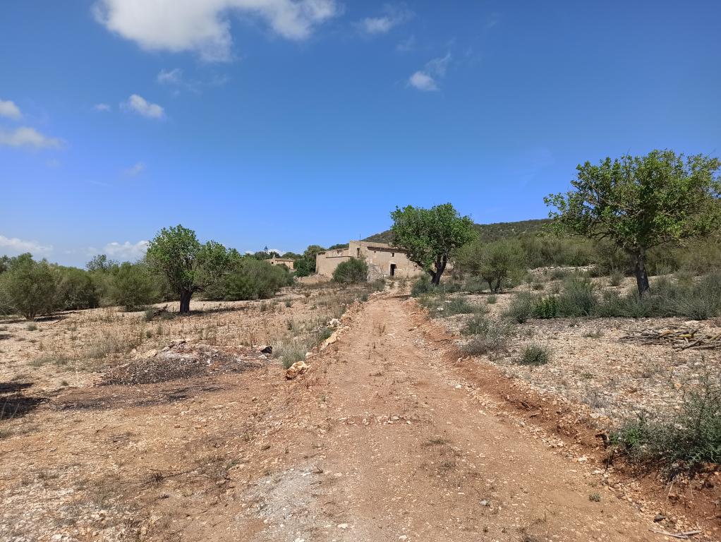 Finca Top Location for Renovation for Sale in Son Macia