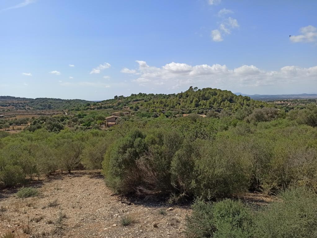 Finca Top Location for Renovation for Sale in Son Macia