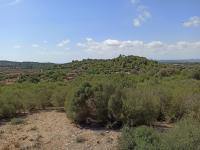 Finca Top Location for Renovation for Sale in Son Macia