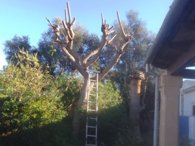 Gartenpflege, Poolwartung und Haushalt