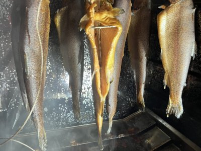 Geräucherte Forellen aus Manacor