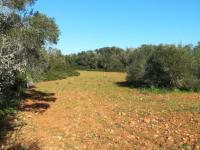 Large plot of land near Campos - Santanyi --- T 06 VK