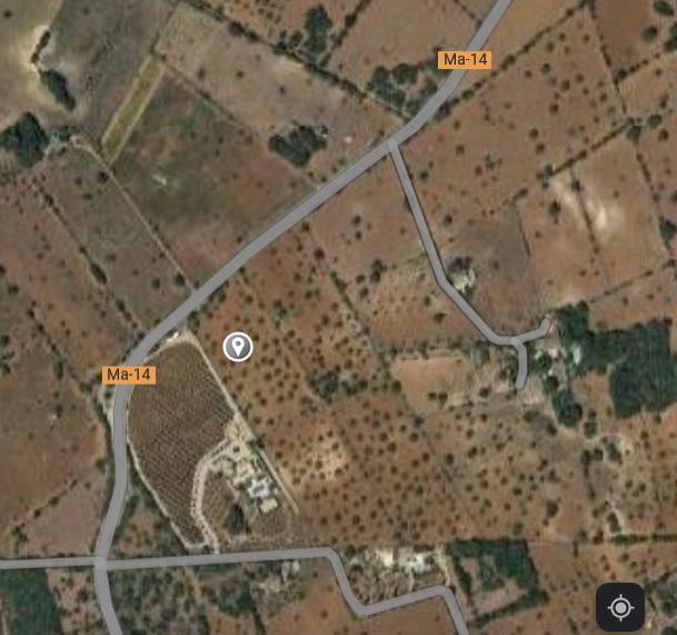 Large plot between Cas Concos and Santanyi --- T 22 CM