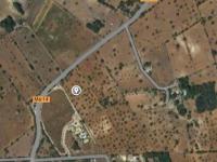 Large plot between Cas Concos and Santanyi --- T 22 CM