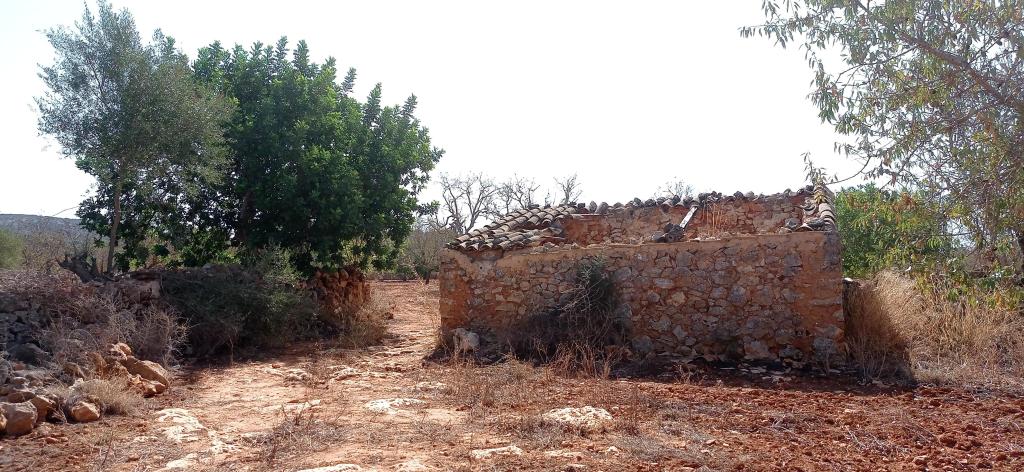 Large plot between Cas Concos and Santanyi --- T 22 CM