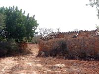 Large plot between Cas Concos and Santanyi --- T 22 CM