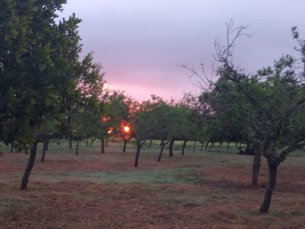 Plot near Santanyi 16300me