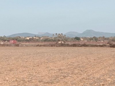 Plot in Son Valls with approved basic project