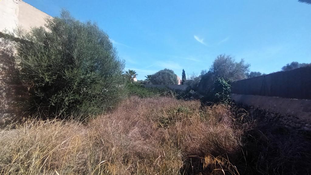 Parcela en ubicación céntrica con un gran trastero en Es LLombards --- S 13