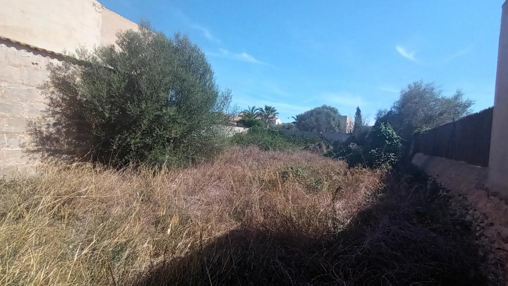 Parcela en ubicación céntrica con un gran trastero en Es LLombards --- S 13