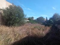 Parcela en ubicación céntrica con un gran trastero en Es LLombards --- S 13