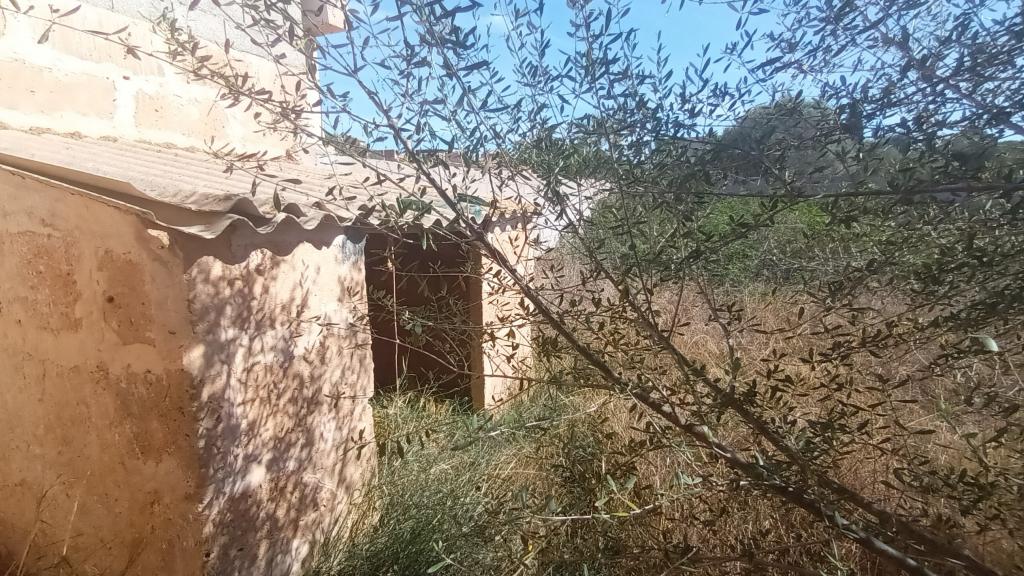 Parcela en ubicación céntrica con un gran trastero en Es LLombards --- S 13