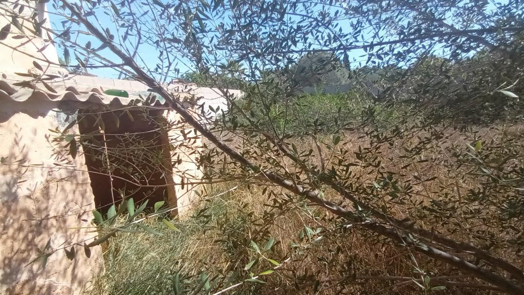 Parcela en ubicación céntrica con un gran trastero en Es LLombards --- S 13