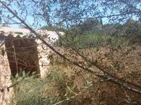 Parcela en ubicación céntrica con un gran trastero en Es LLombards --- S 13