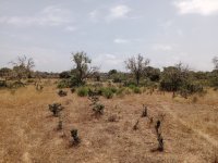 Plot with building permit in Ses Salines
