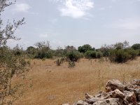Plot with building permit in Ses Salines