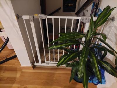 Puertas de escalera Hauck / Protectores de puertas