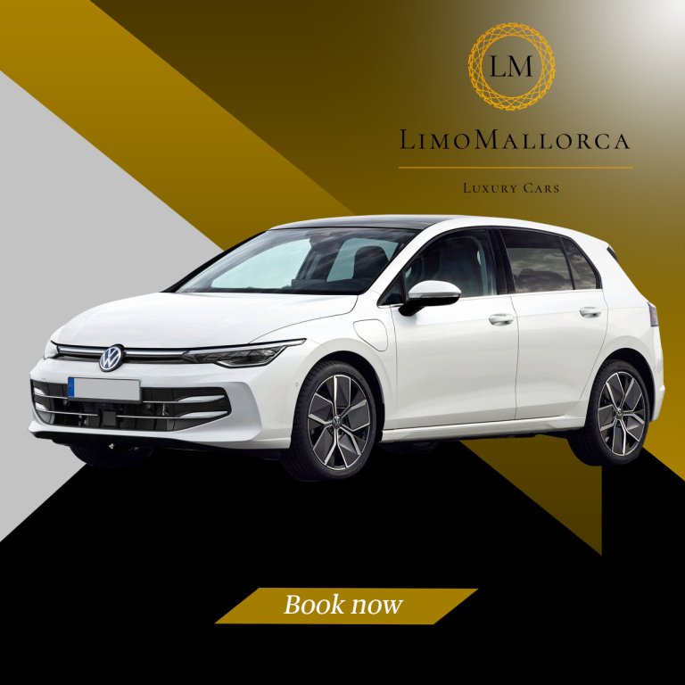 Alquila tu coche por meses