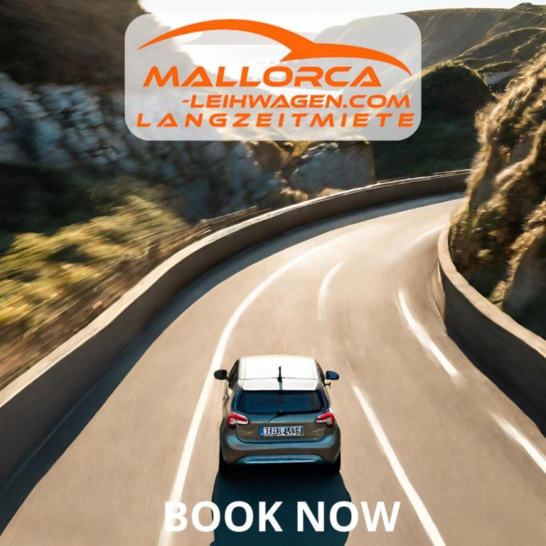 Coches de alquiler para vacacionistas o residentes a largo plazo