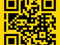 Mini excavator # Telescopic loader & trailer - Rental