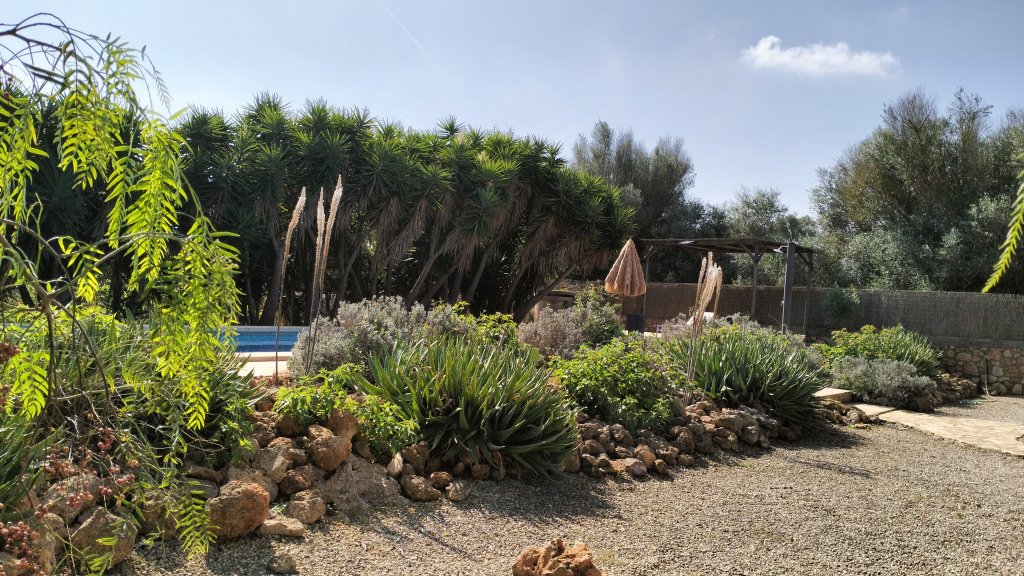 PORRERES: Encantadora propiedad rural con licencia de alquiler vacacional (ETV), pozo y viñas