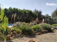 PORRERES: Encantadora propiedad rural con licencia de alquiler vacacional (ETV), pozo y viñas