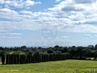 PORTOCRISTO: Finca rural cuidada con licencia de alquiler vacacional para 8 personas (solo venta)