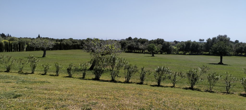 PORTOCRISTO: Finca rural cuidada con licencia de alquiler vacacional para 8 personas (solo venta)
