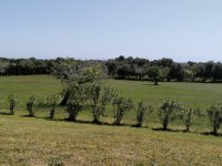 PORTOCRISTO: Finca rural cuidada con licencia de alquiler vacacional para 8 personas (solo venta)