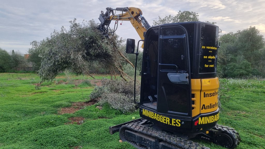 Pala Telescópica # Mini Excavadora # Remolque # Contenedor - ALQUILER