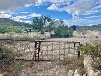 Terreno rústico 34.7169 m2, con proyecto básico y licencia aprobada, Alqueria Blanca (Mallorca)