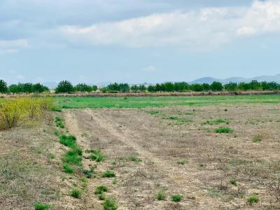 Terreno rústico con proyecto básico y permiso en proceso, Son Valls, Felanitx (Mallorca)