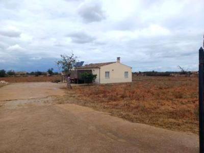 Terreno rústico de 12.000 m2, con casa, situado en la zona de Son Prohens, Felanitx (Mallorca)