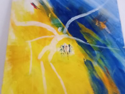 Collection liquidation