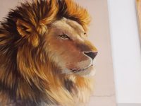 Collection liquidation