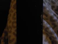 Samsung Galaxy A72 128GB - Morado - Gratis - Dual SIM