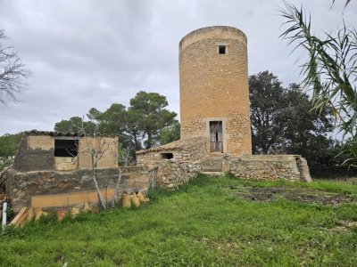 Finca preciosa con casa de reformar
