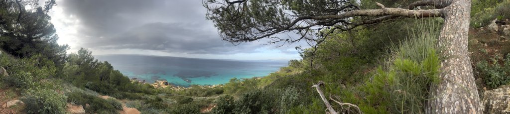 Se busca Service Allrounder (m/f/d)