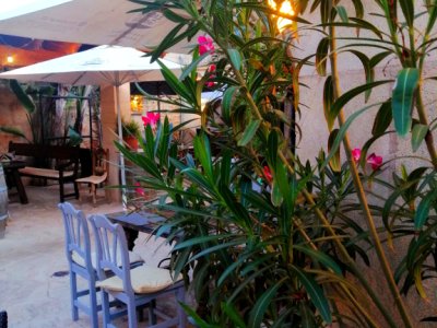 Service staff wanted for our restaurant!