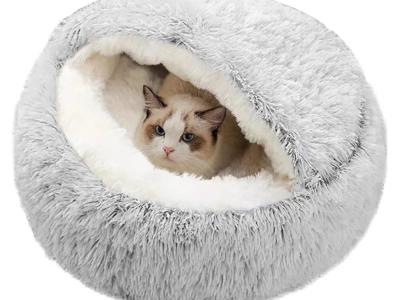 LOS GATOS CALLEJEROS necesitan urgentemente AYUDA