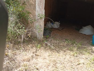 Top Opportunity Sant Lorenzo Large Finca for Sale 394.700m2 Plot