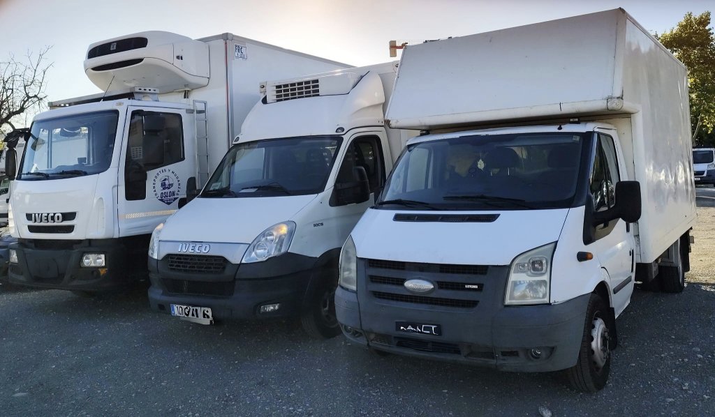 Transport and moving services in Palma