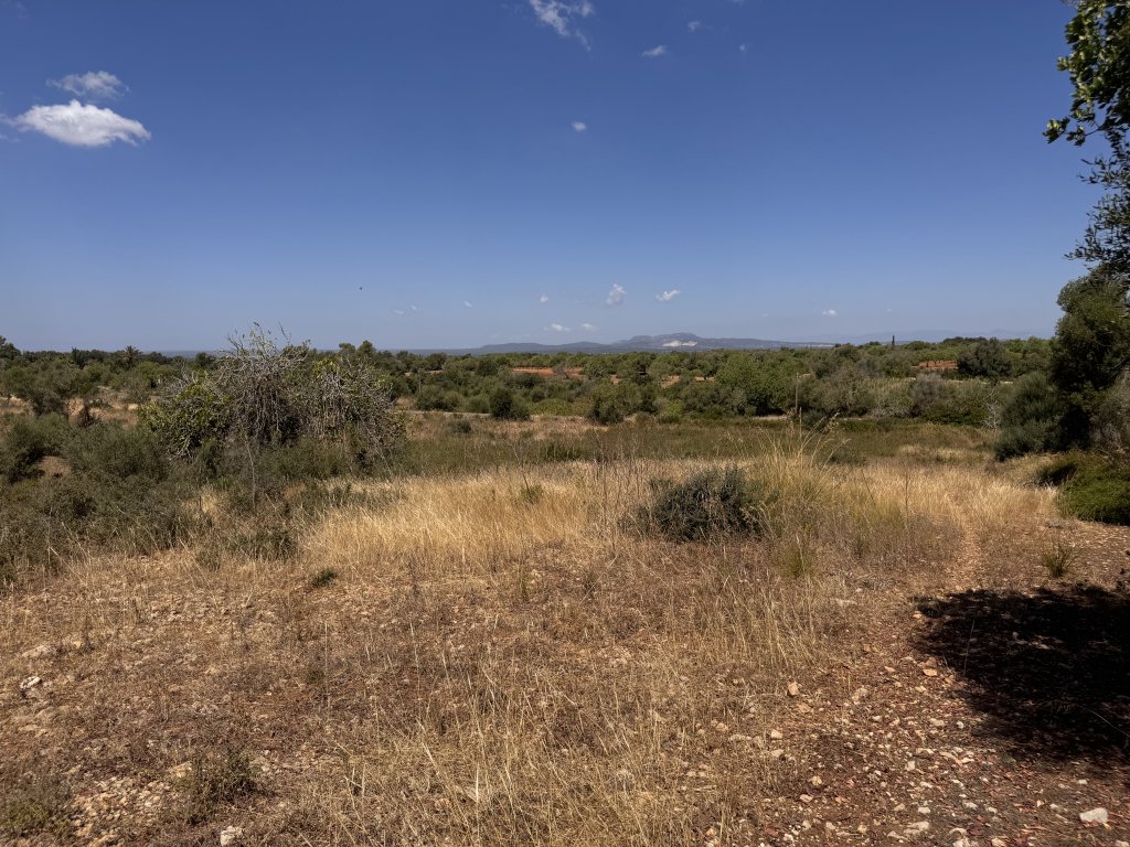 Dream plot with basic project in the middle of nature near Es Carritxo - Felanitx