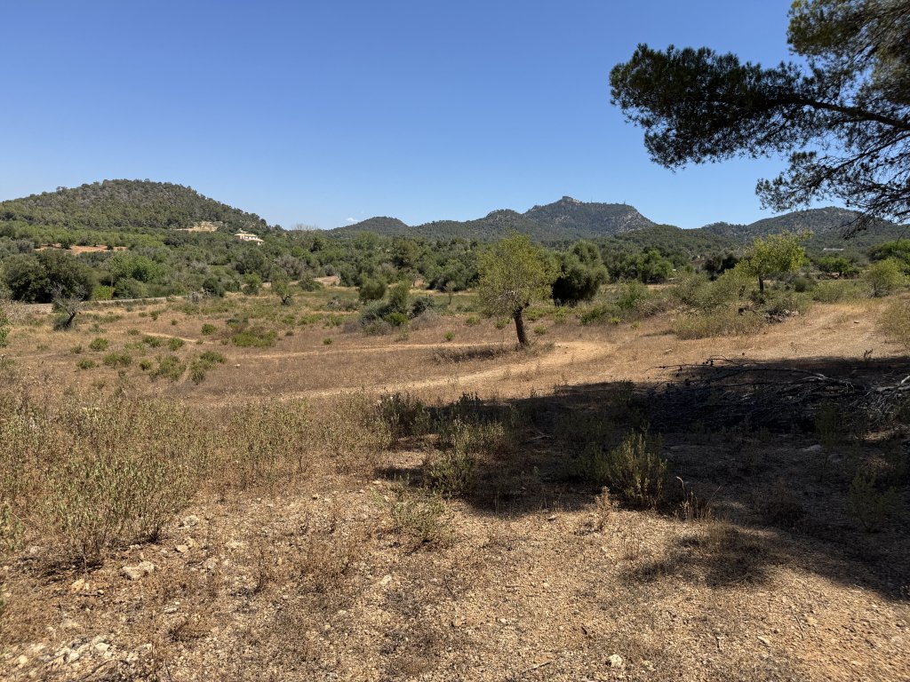 Dream plot with basic project in the middle of nature near Es Carritxo - Felanitx