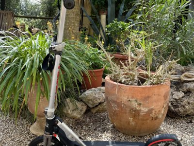 Kick Scooter plegable con ruedas grandes