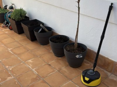 Various terracotta flower pots for sale