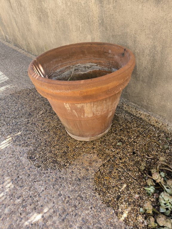 Various terracotta flower pots for sale