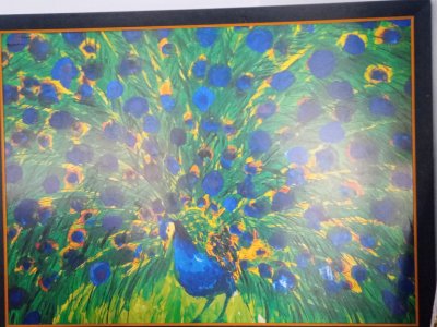 Walasse Ting, Peacock